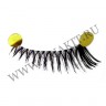 wmlashes_10pairs_500_00.jpg