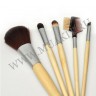 wm_brushes_5_eco5.jpg
