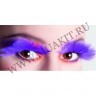 wmfich_feather_lashes0248hgte27vp.jpg