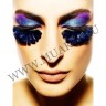 wmfich_feather_lashes169h2f9dtamg.jpg