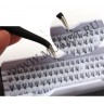 wm_cluster_lashes5.jpg
