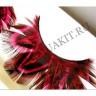 wmbird_feather_lashes29.jpg
