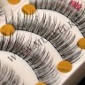 wm_lashes_10pairs_A17.2.jpg