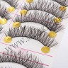 wmlashes_10pairs_025_2.jpg
