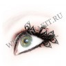 wm_paper_lashes_peacock1.jpg