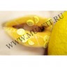 wm_fimo_fruit_stick39kcwe3un9fqoq7dc.jpg