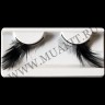wm_half_feather_black3.jpg