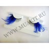 wm_half_feather_lashes_blue03.jpg