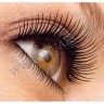 wm_eyelash_comb4yi.jpg