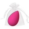 organza bag copy.jpg