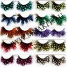 wm_dotted_lashesjr656fnmyc.JPG